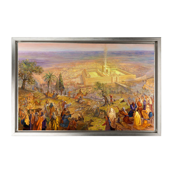 765silver-floating-frame.jpg